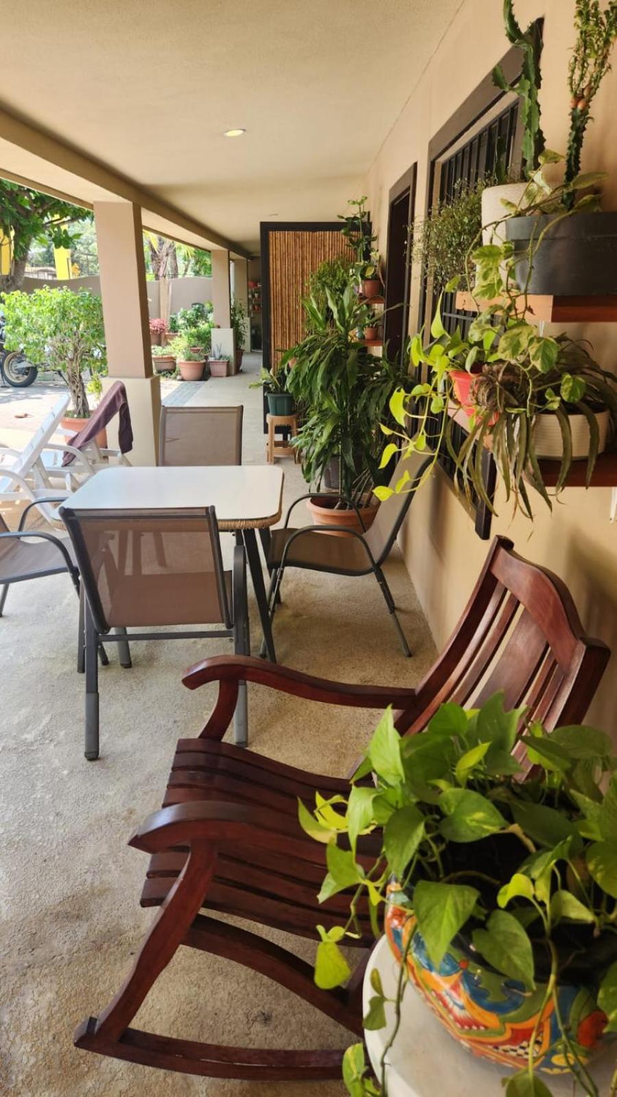 Guest House Playa Flamingo Ngoại thất bức ảnh