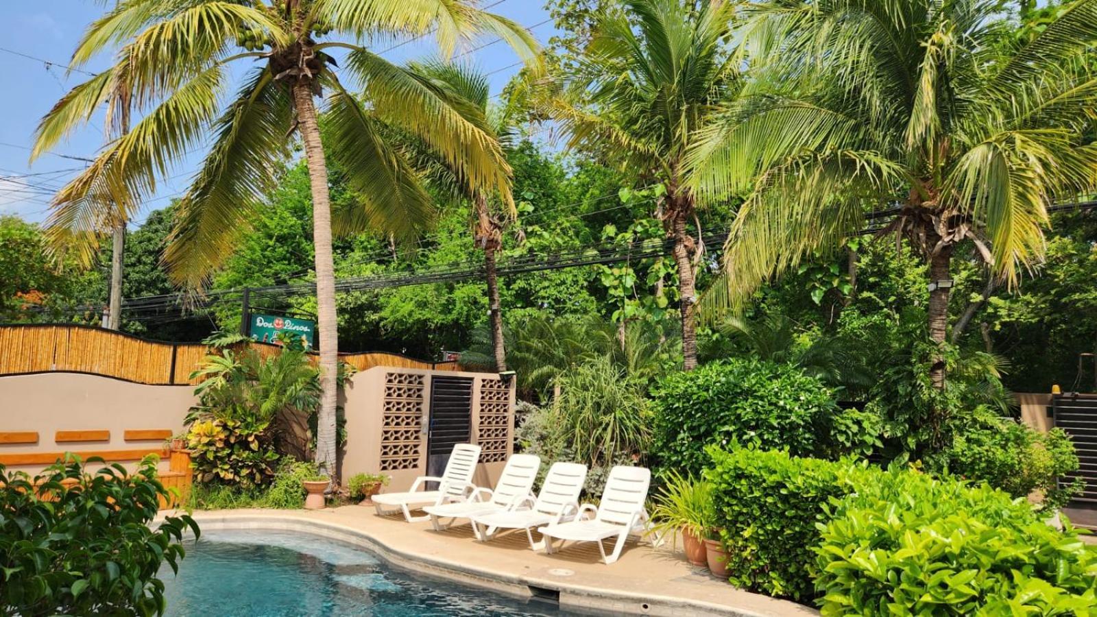 Guest House Playa Flamingo Ngoại thất bức ảnh